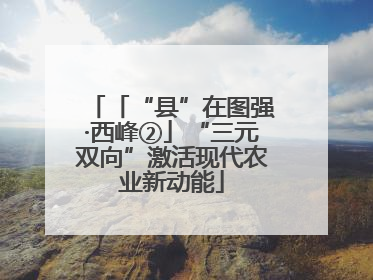 「“县”在图强·西峰②」“三元双向”激活现代农业新动能