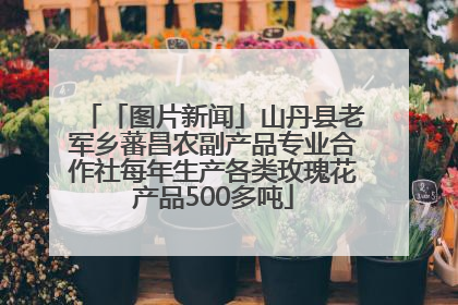 「图片新闻」山丹县老军乡蕃昌农副产品专业合作社每年生产各类玫瑰花产品500多吨