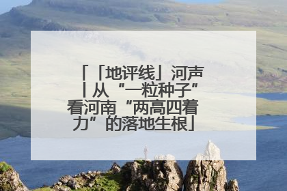 「地评线」河声丨从“一粒种子”看河南“两高四着力”的落地生根