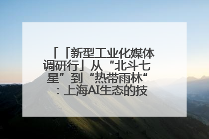「新型工业化媒体调研行」从“北斗七星”到“热带雨林”：上海AI生态的技术商业共生密码
