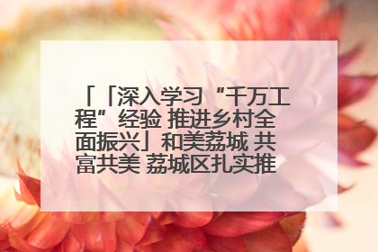 「深入学习“千万工程”经验 推进乡村全面振兴」和美荔城 共富共美 荔城区扎实推进乡村振兴工作