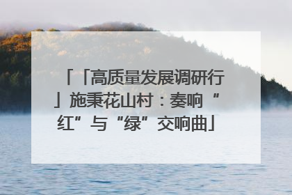 「高质量发展调研行」施秉花山村：奏响“红”与“绿”交响曲