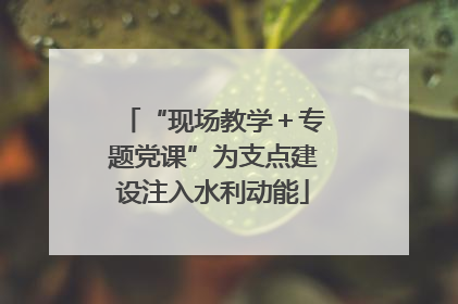 “现场教学＋专题党课”为支点建设注入水利动能