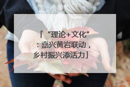 “理论+文化”：嘉兴黄岩联动，乡村振兴添活力