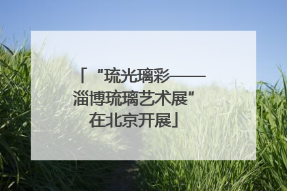 “琉光璃彩——淄博琉璃艺术展”在北京开展