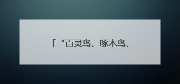 “百灵鸟、啄木鸟、织布鸟”，为仙居县域发展注入“新”动能