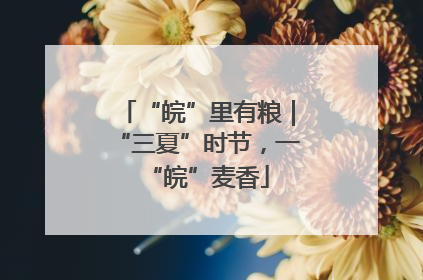 “皖”里有粮｜“三夏”时节，一“皖”麦香