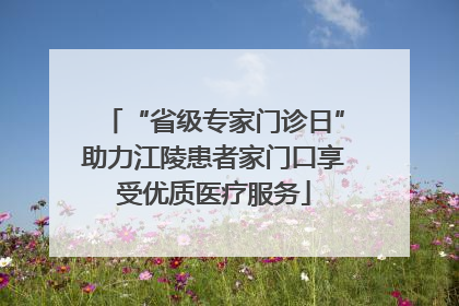 “省级专家门诊日”助力江陵患者家门口享受优质医疗服务