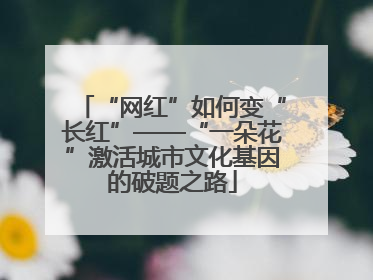 “网红”如何变“长红”——“一朵花”激活城市文化基因的破题之路