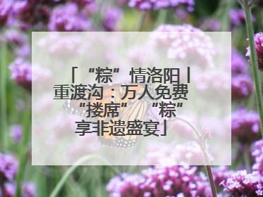 “粽”情洛阳丨重渡沟：万人免费“搂席” “粽”享非遗盛宴