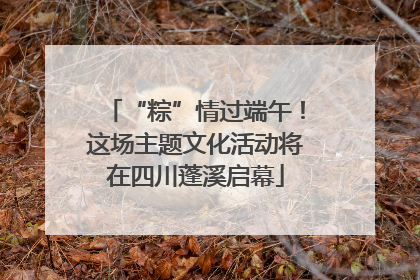 “粽”情过端午！这场主题文化活动将在四川蓬溪启幕