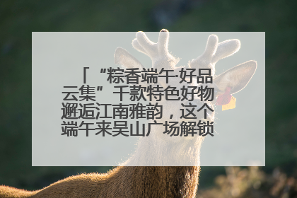 “粽香端午·好品云集”千款特色好物邂逅江南雅韵，这个端午来吴山广场解锁“浙里烟火气”