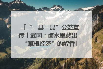“一县一品”公益宣传丨武冈：卤水里熬出“草根经济”的醇香