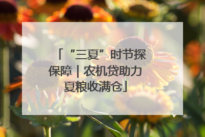 “三夏”时节探保障｜农机贷助力夏粮收满仓