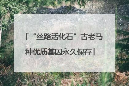 “丝路活化石”古老马种优质基因永久保存