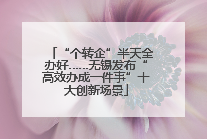 “个转企”半天全办好……无锡发布“高效办成一件事”十大创新场景