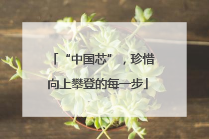 “中国芯”，珍惜向上攀登的每一步