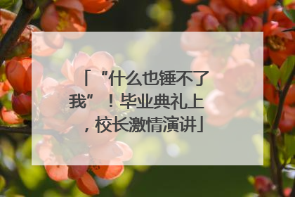“什么也锤不了我”！毕业典礼上，校长激情演讲