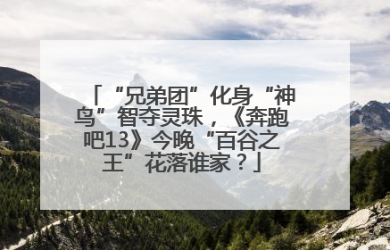 “兄弟团”化身“神鸟”智夺灵珠，《奔跑吧13》今晚“百谷之王”花落谁家？