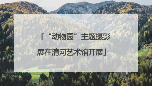 “动物园”主题摄影展在清河艺术馆开展