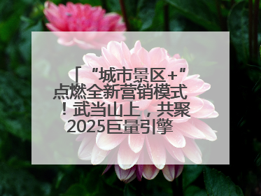 “城市景区+”点燃全新营销模式！武当山上，共聚2025巨量引擎城市生态大会！