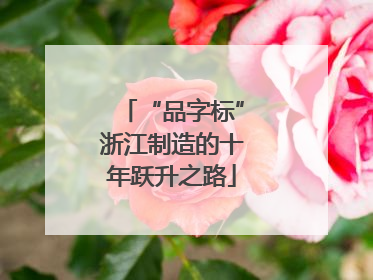 “品字标”浙江制造的十年跃升之路
