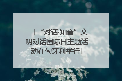 “对话·知音”文明对话国际日主题活动在匈牙利举行