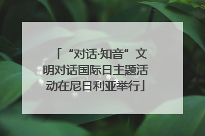 “对话·知音”文明对话国际日主题活动在尼日利亚举行