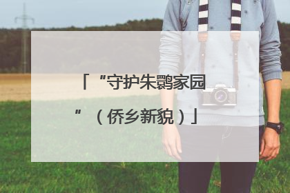 “守护朱鹮家园”（侨乡新貌）