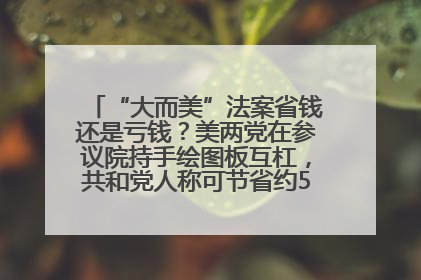 “大而美”法案省钱还是亏钱？美两党在参议院持手绘图板互杠，共和党人称可节省约5000亿美元，民主党人称将增加4.45万亿美元赤字