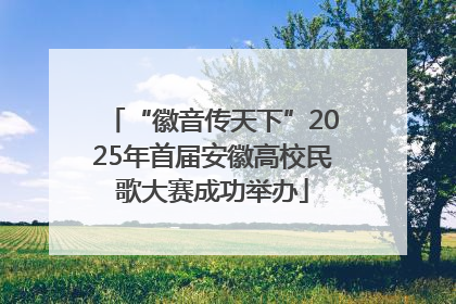 “徽音传天下”2025年首届安徽高校民歌大赛成功举办