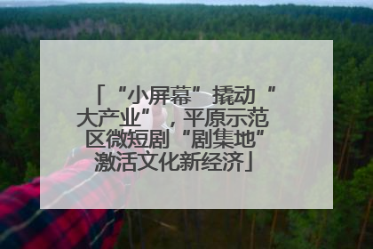 “小屏幕”撬动“大产业”，平原示范区微短剧“剧集地”激活文化新经济