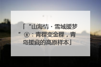 “山海情・雪域援梦”⑧：青稞变金稞，青岛援藏的高原样本
