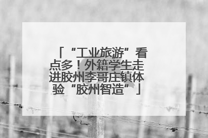 “工业旅游”看点多！外籍学生走进胶州李哥庄镇体验“胶州智造”