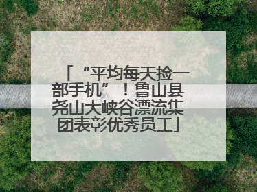 “平均每天捡一部手机”！鲁山县尧山大峡谷漂流集团表彰优秀员工