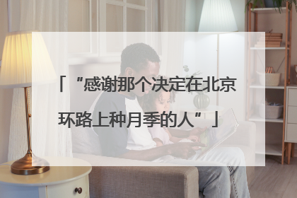 “感谢那个决定在北京环路上种月季的人”