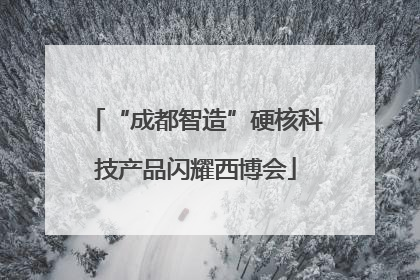 “成都智造”硬核科技产品闪耀西博会