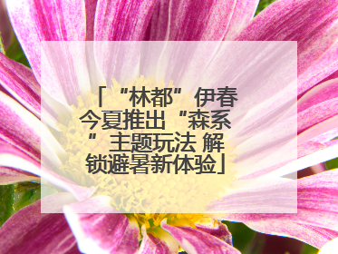 “林都”伊春今夏推出“森系”主题玩法 解锁避暑新体验