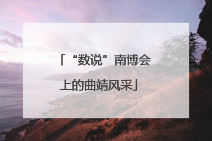“数说”南博会上的曲靖风采