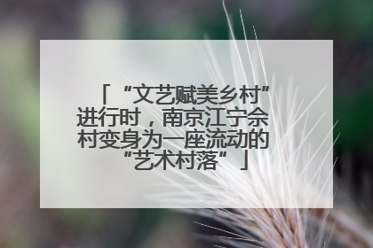 “文艺赋美乡村”进行时，南京江宁佘村变身为一座流动的“艺术村落”