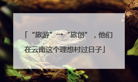 “旅游”→“旅创”，他们在云南这个理想村过日子