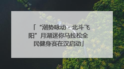 “潮势咏动・北斗飞阳”月湖迷你马拉松全民健身赛在汉启动