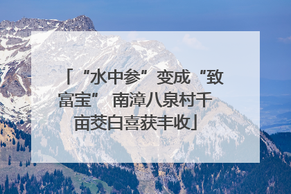 “水中参”变成“致富宝” 南漳八泉村千亩茭白喜获丰收