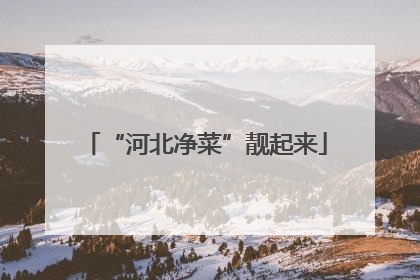 “河北净菜”靓起来