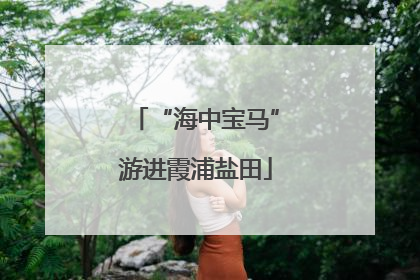 “海中宝马”游进霞浦盐田