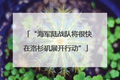 “海军陆战队将很快在洛杉矶展开行动”