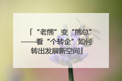 “老熊”变“熊总”——看“个转企”如何转出发展新空间