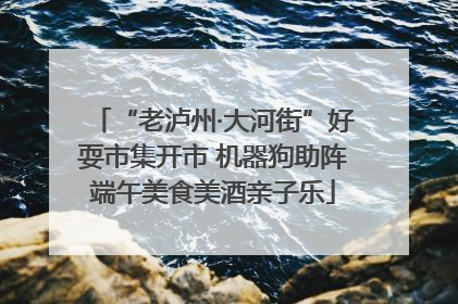 “老泸州·大河街”好耍市集开市 机器狗助阵端午美食美酒亲子乐