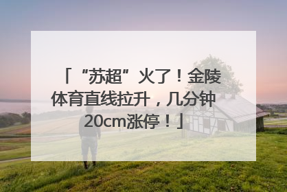 “苏超”火了！金陵体育直线拉升，几分钟20cm涨停！