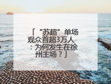 “苏超”单场观众首超3万人：为何发生在徐州主场？